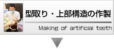 型取り・上部構造の作製